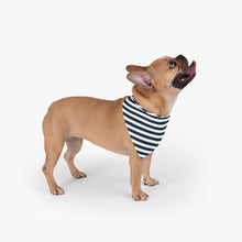 Load image into Gallery viewer, Pet Bandana, Blue and White Stripes Dog Bandana