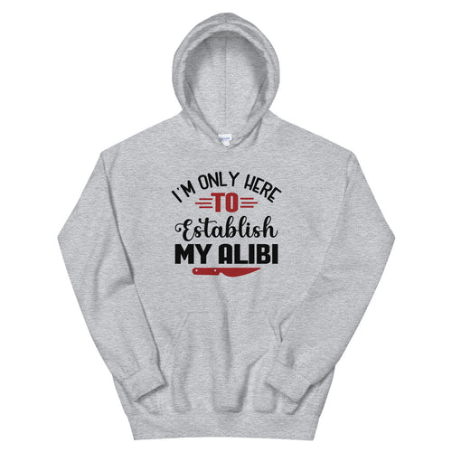 I'm Only Here To Establish My Alibi Funny Unisex Hoodie, Funny Hoodie Gift, Gift For Wife